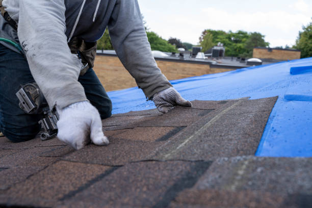Reliable Wendell, NC Roofing Contractor Solutions
